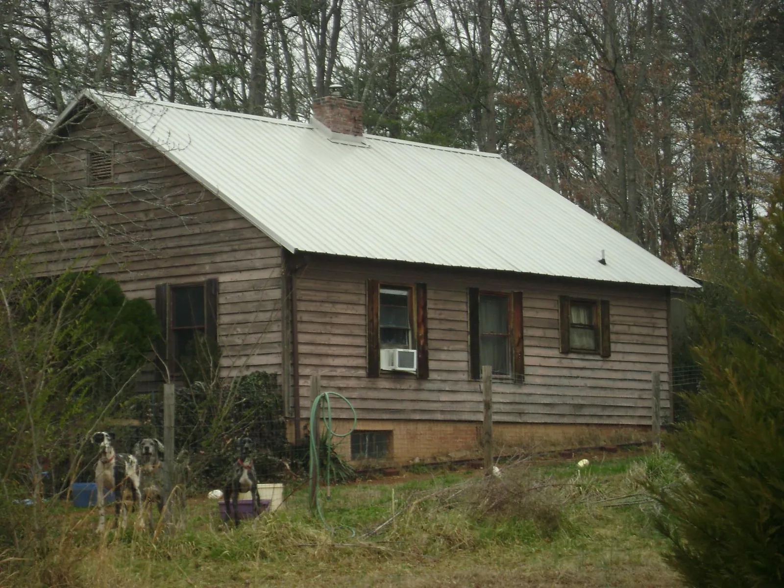 White metal roof on an old wood sided farmhouse, from a Metal Roof Installation job in Manteo